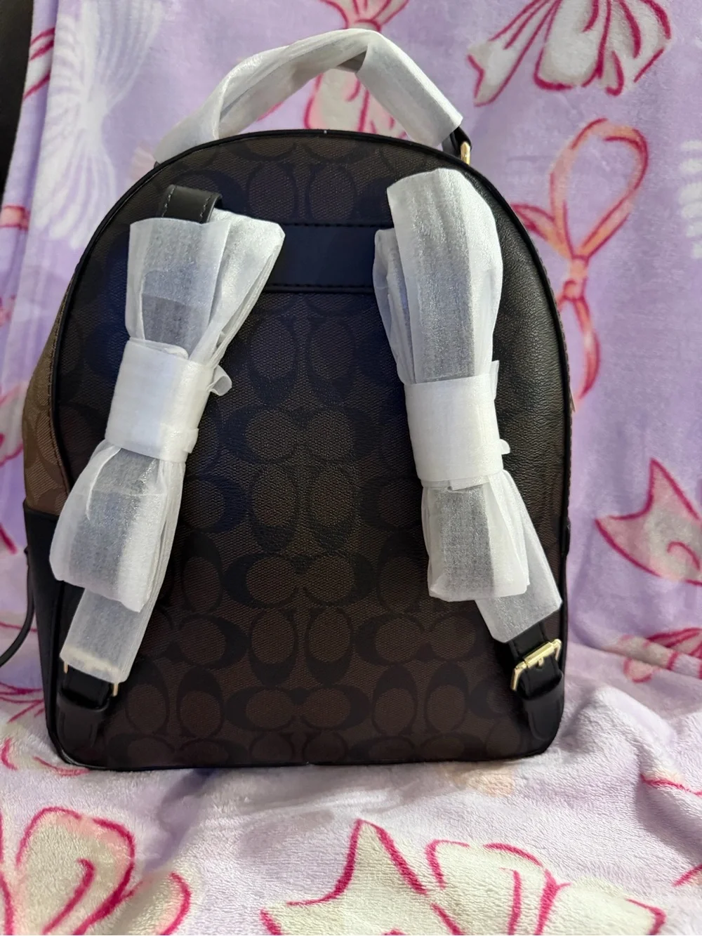 Small brown backpack inspi Coach Signature